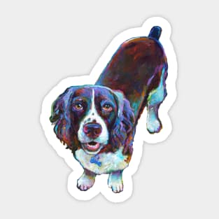 Colorful Cocker Spaniel by Robert Phelps Sticker